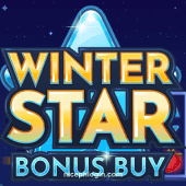 Bonus na Bili ng Bituin ng Taglamig game